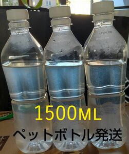 ゾウリムシ　1500ml。　メダカ　めだか　金魚　らんちゅう　ミジンコの餌に…　