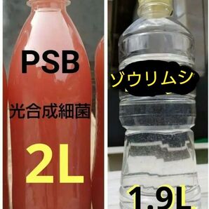 PSB(光合成細菌)2000ml＆　ゾウリムシ　1900ml　メダカやミジンコの餌 金魚