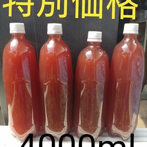 特別価格。激安。濃厚　PSB(光合成細菌)　1L×4本 4L。メダカ　めだか　金魚　グリーンウォーター　ミジンコ　ゾウリムシ