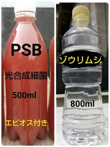 PSB(光合成細菌)500ml＆ゾウリムシ　800ml&　エビオス30錠　。　メダカ　グリーンウォーター　金魚　ミジンコ