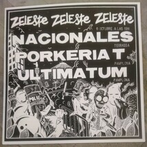 V.A. DIRECTO ZELESTE 1985 LP NACIONALES PORKERIA T ULTIMATUM スパニッシュ・ハードコア・コンピレーション BLUE VINYL_画像3