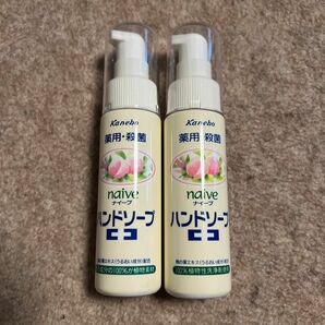 新品 携帯用 薬用殺菌 naiveカネボウハンドソープ50ml 2本 携帯 除菌 保湿 植物成分 低刺激