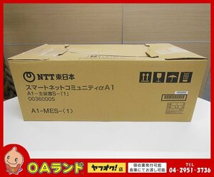 ●NTT● 中古 / 主装置 / A1-MES-(1) / ユニット / A1-10SU-(1) / 箱入り