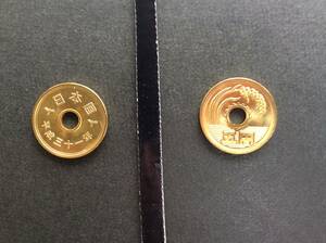 平成31年5円黄銅貨
