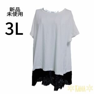 461 レディース 大きいサイズ 3L トップス 白 Tシャツ 黒 レース 半袖 