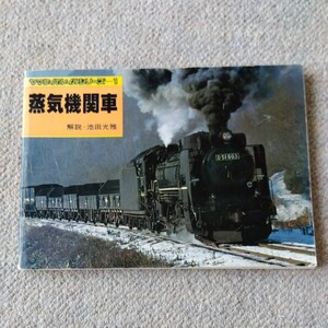 蒸気機関車　 ヤマケイのレイルシリーズ−1