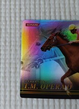 GR T・M OPERAO テイエムオペラオー 競馬 コナミ KONAMI ホースライダーズ HORSERIDERS 競走馬 HB07G009 キラ 2008 希少_画像2