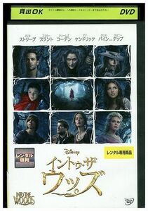 [ кейс нет не возможно * возвращенние товара не возможно ] DVD in tu* The * Woods прокат tokka-107