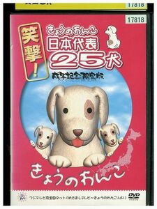 DVD きょうのわんこ 日本代表25犬 成年記念限定版 レンタル落ち ZP03853