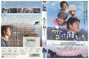 DVD 雪に願うこと 伊勢谷友介 レンタル落ち ZJ02444