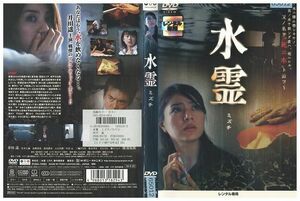 DVD 水霊 ミズチ 井川遥 渡部篤郎 レンタル落ち ZJ02584