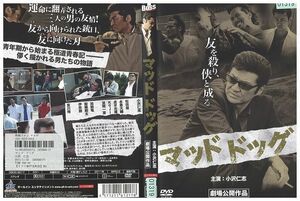 DVD マッドドッグ 小沢仁志 レンタル落ち ZP03579