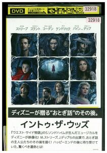 【ケースなし不可・返品不可】 DVD イントゥ・ザ・ウッズ レンタル落ち tokka-48