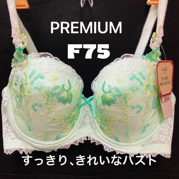 トリンププレミアム レッドレーベル 0078 ブラジャー F75