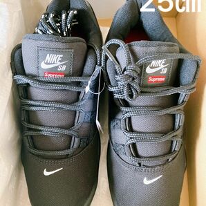 25㎝　Supreme Nike SB Darwin Low Black
