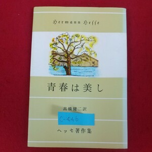 c-446※5 青春は美し ヘルマン・ヘッセ 高橋健二訳 昭和45年1月25日重版発行 株式会社人文書院 ヘッセ著作集 旋風 ラテン語学校生