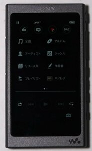 SONY, ネットウォークマン, NW-A45 , 16GB, 中古