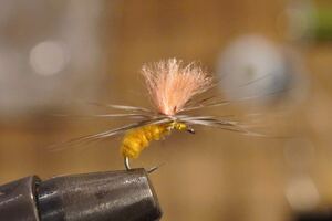  Spider fly Nice бедра корпус dry fly 4шт.