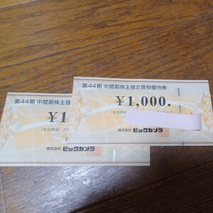 株主優待券ビックカメラ2000円分。有効期限2024年11月30日。