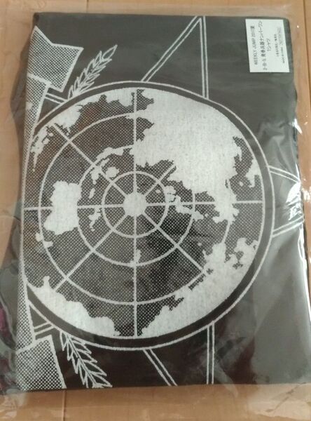 週刊少年ジャンプ 青春兵器ナンバーワン 懸賞 当選品 ティーシャツ Tシャツ 非売品 集英社