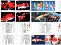 有名観賞魚雑誌の特集ページ