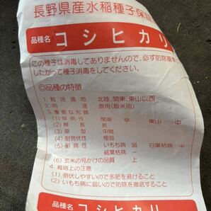 長野県産 コシヒカリ種籾 1、25kg 種子消毒 ＪＡ購入の画像3