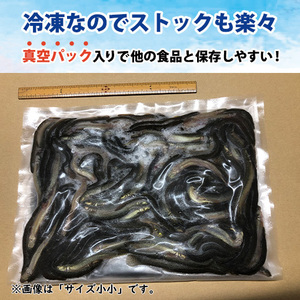  freezing loach ( vacuum pack *dojou) middle small size (MS) 500g [ postage is cheap ] * including in a package what piece also OK* old fee fish, meat meal fish feed optimum frozen bait 