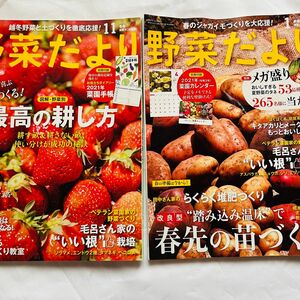 野菜だより 2020年11月号　２０２１年１月号 （ブティック社）家庭菜園誌