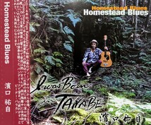 CD 濱口祐自 Homestead Blues ギター インスト ピーター・バラカン 野外録音 Yuji Hamaguchi I was Born in Tanabe ほぼ新品同様_画像1