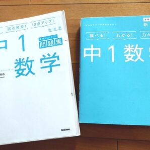 中1数学 新装版 問題集 参考書 下