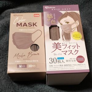 アイリスオーヤマ不織布プリーツマスク、美フィットマスクの２個セット