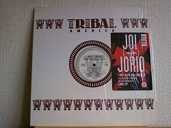 ハウス Joi & Jorio / I Won't Waste You Time '95 US盤12インチです。