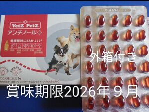 アンチノールプラス　犬用アンチノール