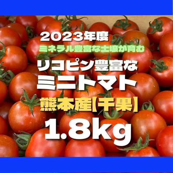 ミニトマト　野菜　熊本産　1.8kg サイズ混合　ミネラル　　弁当　リコピ　コンパクト 野菜 