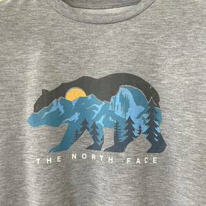 ☆THE NORTH FACEノースフェイス☆熊ベアープリント半袖Tシャツ☆XLの画像3