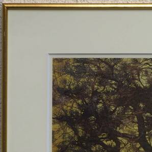 【SAKURAYA】アート作品【 王の樹 / 人気木版画家 星襄一】模写 複製 絵画 額装 自然画 風景画 骨董品 古美術品 在銘 75.2cm×57cmの画像2
