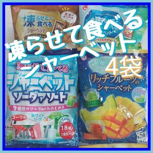 凍らせて食べるシャーベット 4種袋　リッチ フルーツ チョココーヒー フルーツミルク ソーダ