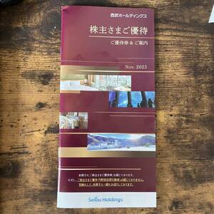 西武ホールディングス 株主優待冊子 1冊 ご優待券