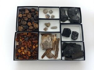 [ fossil ] domestic production * abroad production fossil 8 point set ( total 250g)