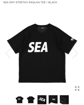 ロイヤル限定オファー 黒M 新品WIND AND SEAウィンダンシーDRY厚手ドライ生地STRETCH RAGLAN T-SHIRTラグラン半袖Tシャツ/発送レターパック_画像1