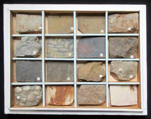 石6『 化石標本 / 岩石鉱物標本 』＊Specimens Fossils, Rocks & Minerals. 古生物. 堆積物. 鉱石. 自然石. 天然石. 原石. パワーストーン