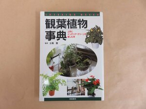 観葉植物辞典　上手にインテリア・グリーンを楽しむ本　監修　土橋豊　池田書店