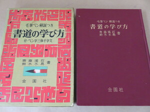 書道の学び方 毛筆ペン解説つき 昭和42年 斉藤渓石 金園社