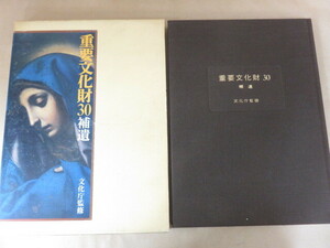 重要文化財30 補遺 文化庁監修 毎日新聞社