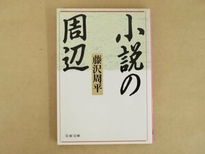 小説の周辺 藤沢周平 文春文庫