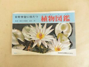 日常学習に役だつ植物図鑑 昭和39年初版 暁教育図書株式会社