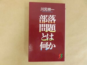 部落問題とは何か　川元祥一　三一書房　1994年初版