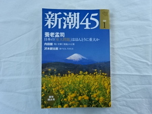 新潮45　2009年1月　日本の「重大問題」はほんとうに重大か　養老孟司