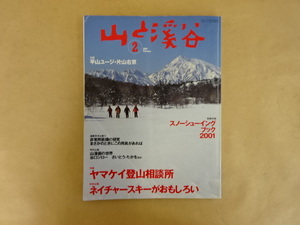 山と渓谷2001年2月No.787 特集 ヤマケイ登山相談所
