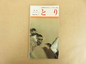 とり 低学年のポケットずかん5 高野伸二 1965年 学研